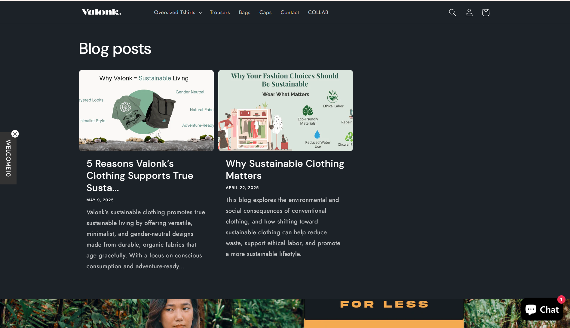 Lookbook & Blog